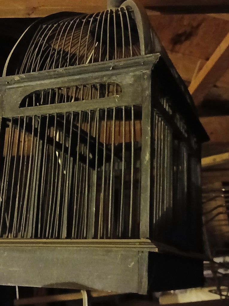 Bird Cage