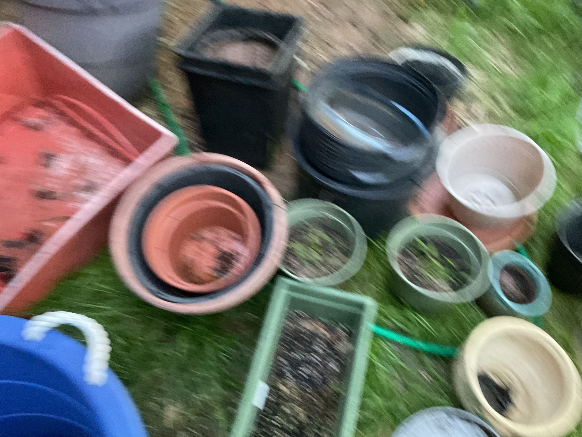 Different, Sizes, Different Colors, Different Styles Of Plants Pots (all for $60j (NO SHIPPING)