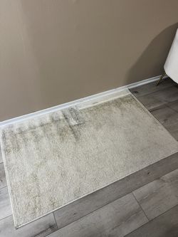 Rectangle Rug $10