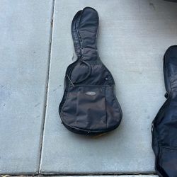 Guitar Carrying Case