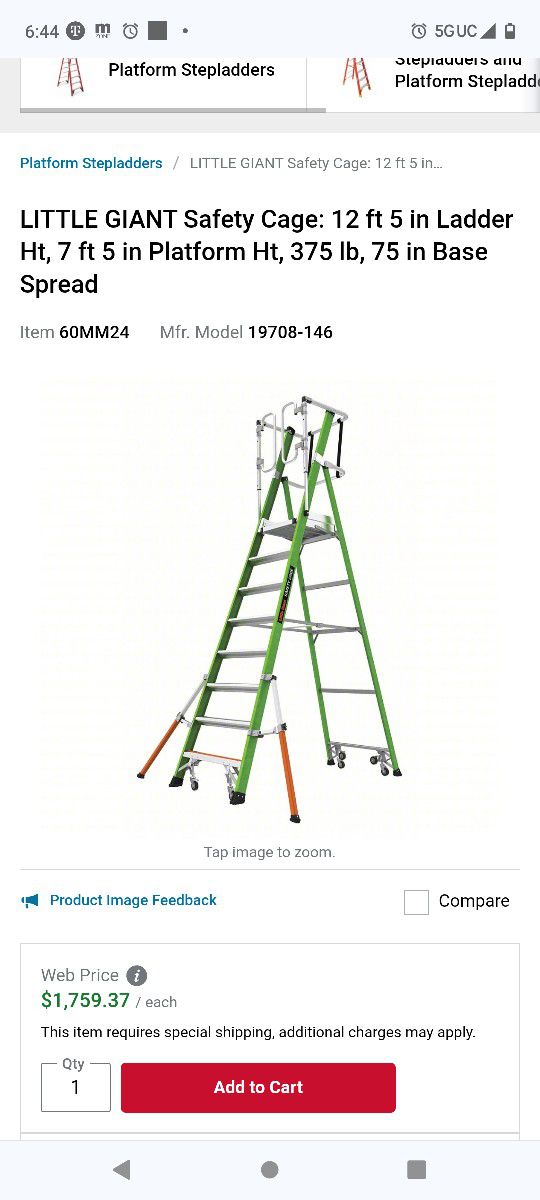 12ft Ladder With Cage