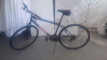 Mongoose adult bike