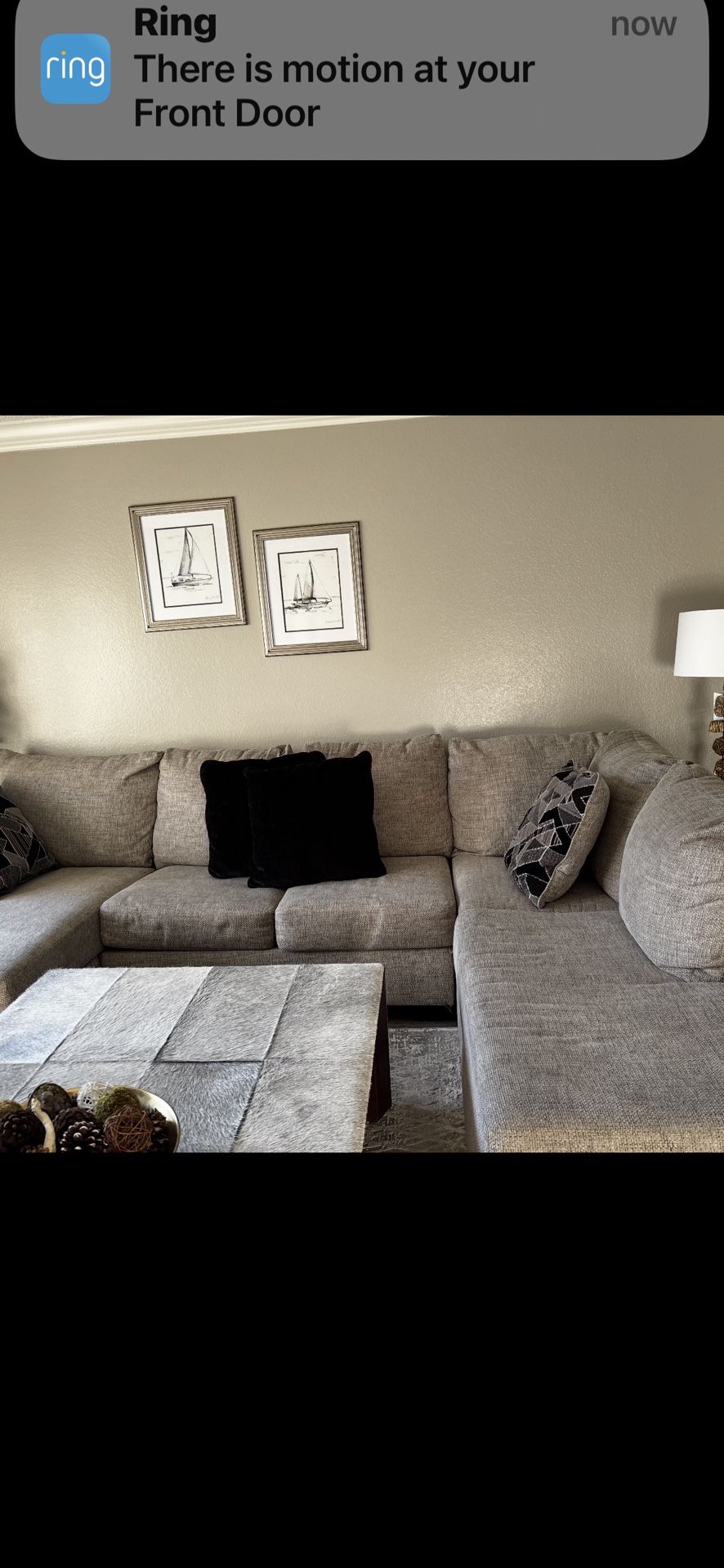 Nice Sectional Couch 