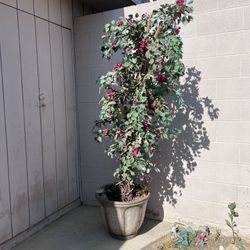 Fake Tree Plant 