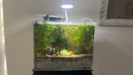 Tank 2 1/2 gal