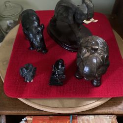 Elephants 