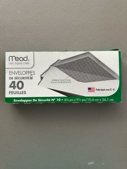 Mead Envelopes (40)
