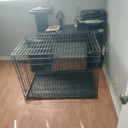 Dog Crates 