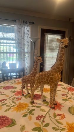 Realistic giraffe