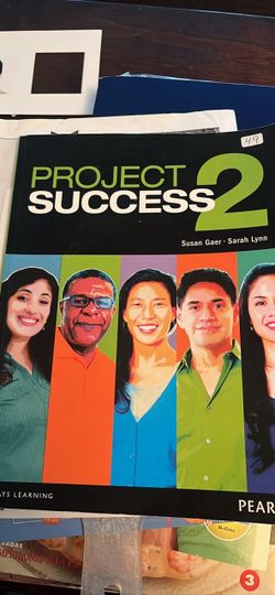 Project success 2