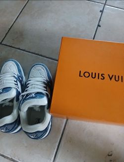 Louis vuitton designer shoe