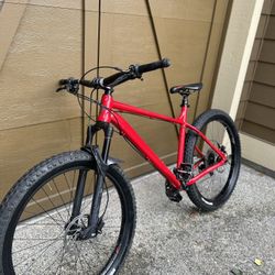 Diamond Back Mason 2    Size: L