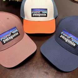 Patagonia Trucker Hat