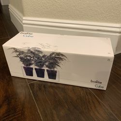 Boskke Planter Set Cube Indoor Plants