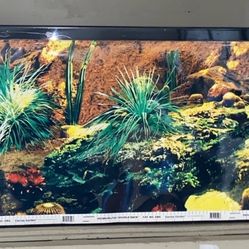 36 x 18 inch  Fish Tank 