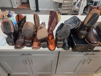 Ostrich caiman boots