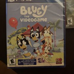 PS4 Bluey Video Game 