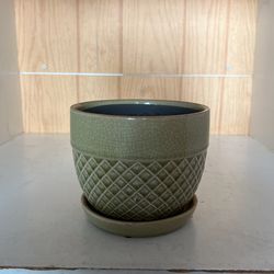 Green Flower Pot