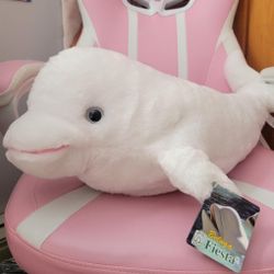 Large Beluga Whale