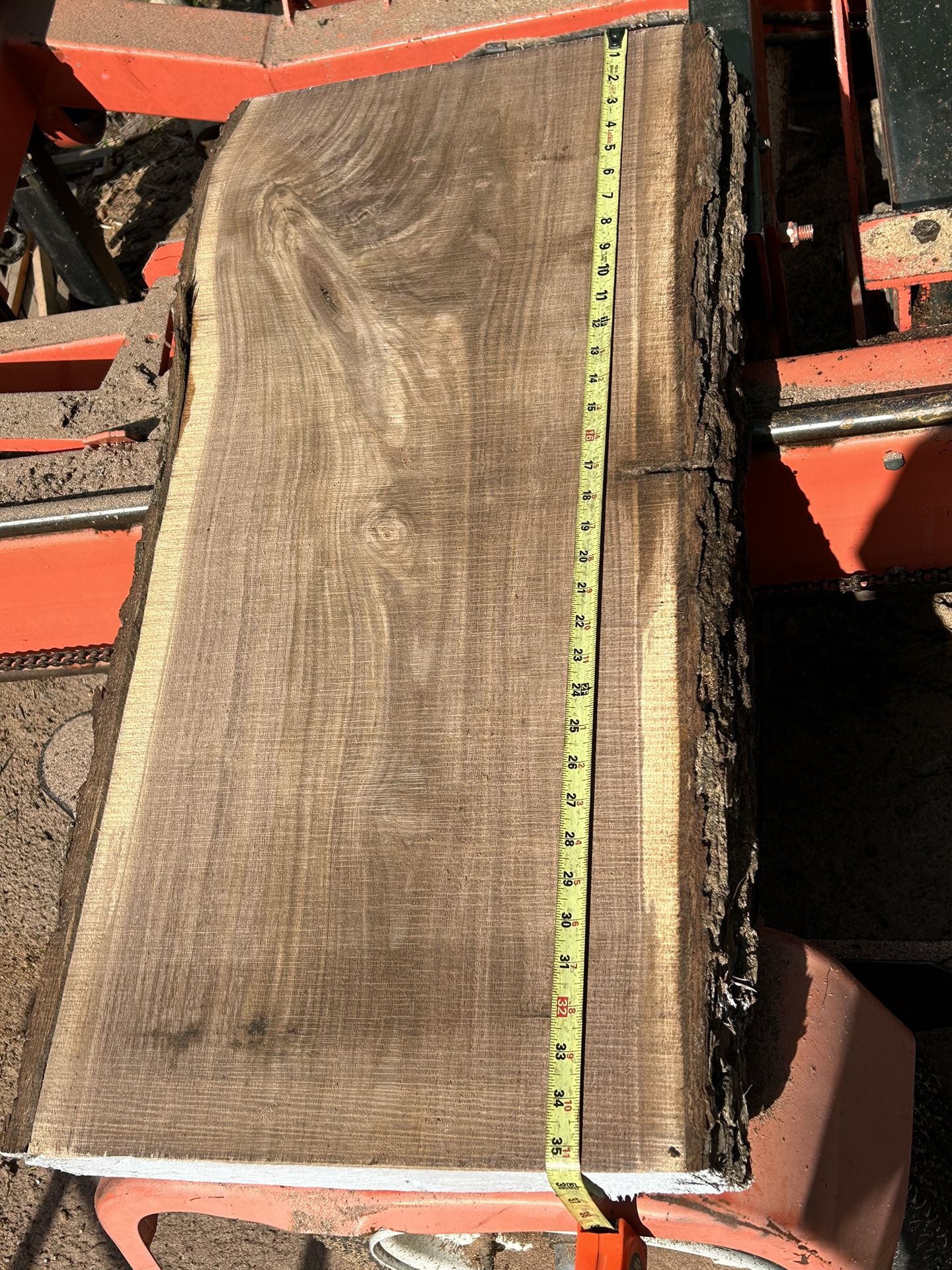 Fresh Cut Walnut For Charcuterie Boards