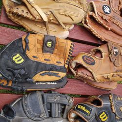 Ten Medium and Large Baseball and Softball Gloves 