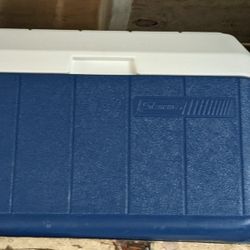 Coleman cooler.    $15.