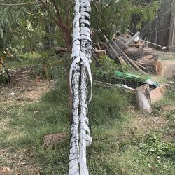 Volleyball Net