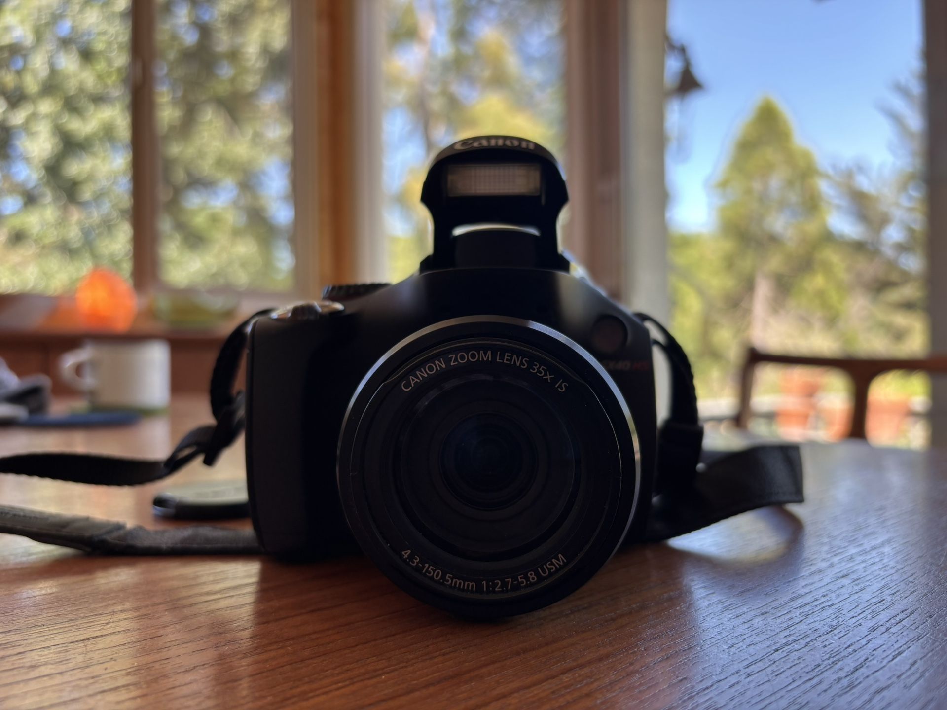 Canon SX40 Camera