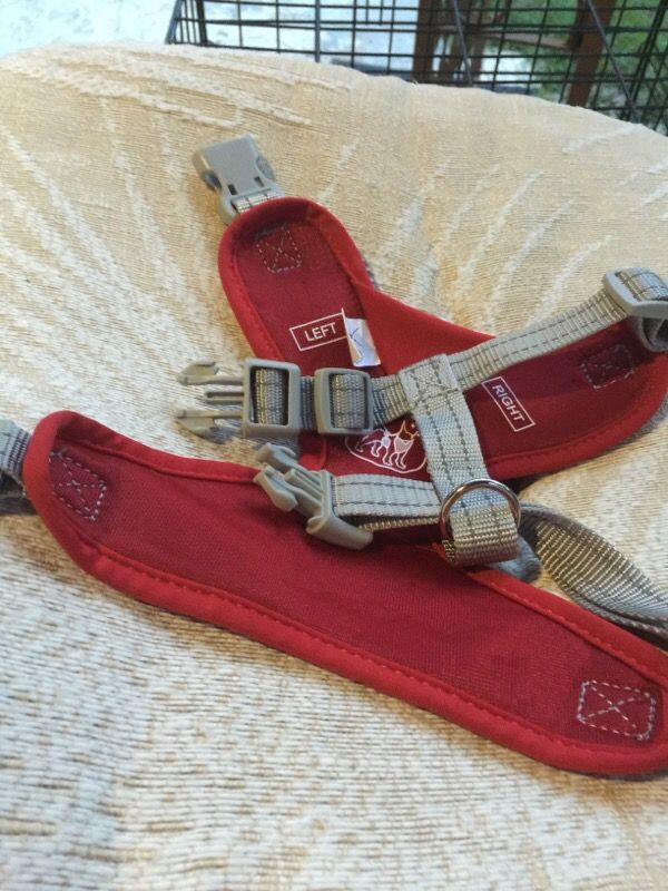 New harness for a small dog