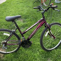 Mountain Bike
