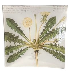 Dandelion Square Glass Decorative Plate 7.5”