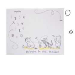 Pooh Bear Milestone Blanket 