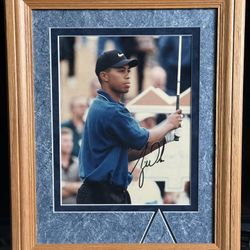 Tiger Woods Framed Photo. 
