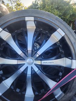 Rines 24 Falken