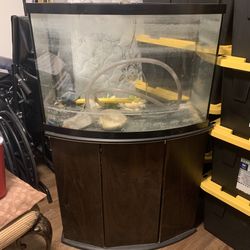 WEIGH WITH YOUR FURNITURE 