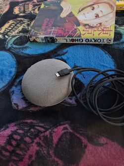 Google Home For $30