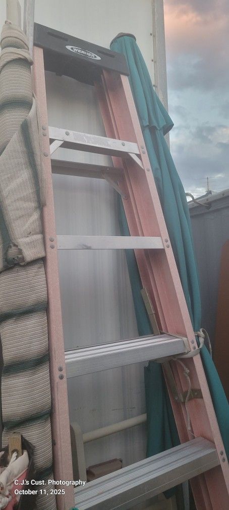 Werner 12 Ft. Ladder