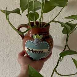 Hermosa y saludable Soñadora” Planta 🪴 jarro de Barro Artesanal en plantita