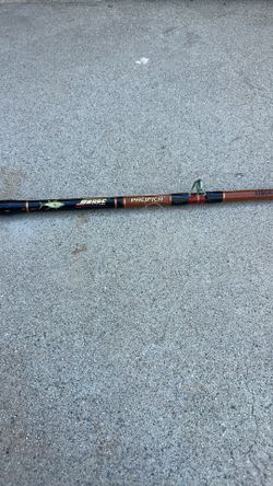 Fishing Pole And Reel Penn 113H