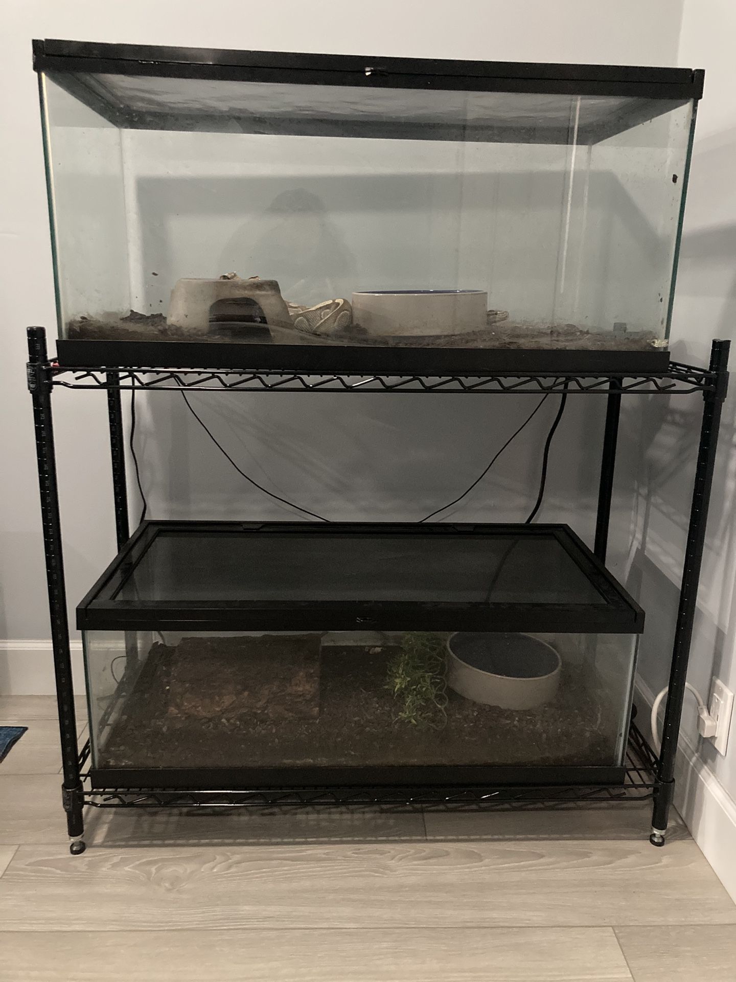 Ball Python Enclosures With Stand
