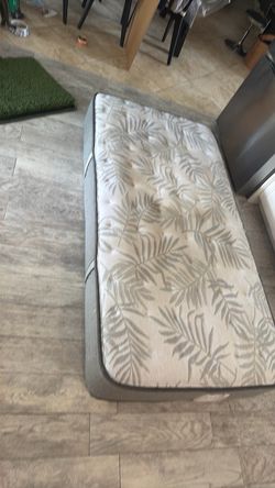 Free twin mattress