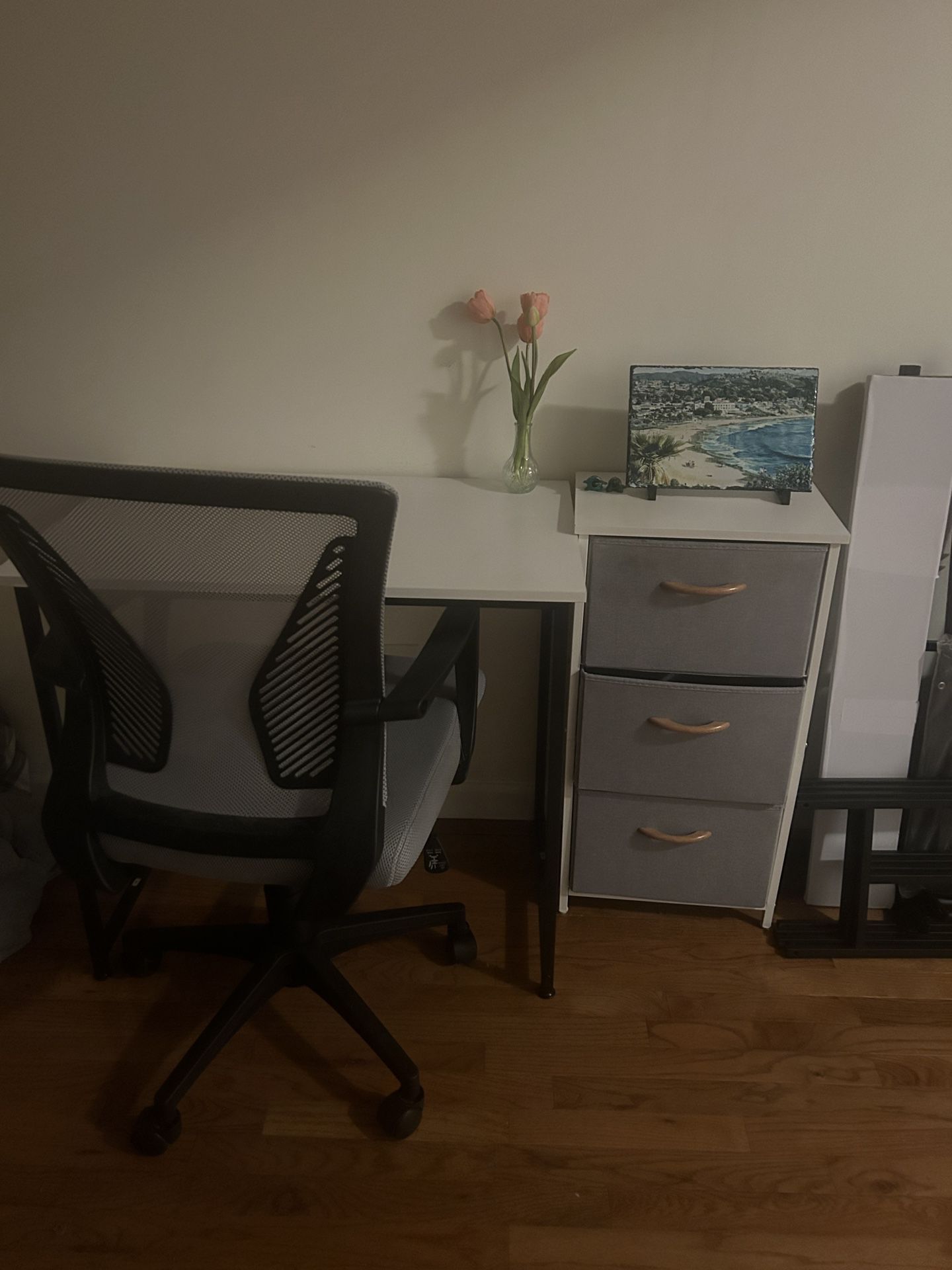 FREE Desk, Chair, And Clothing Storage