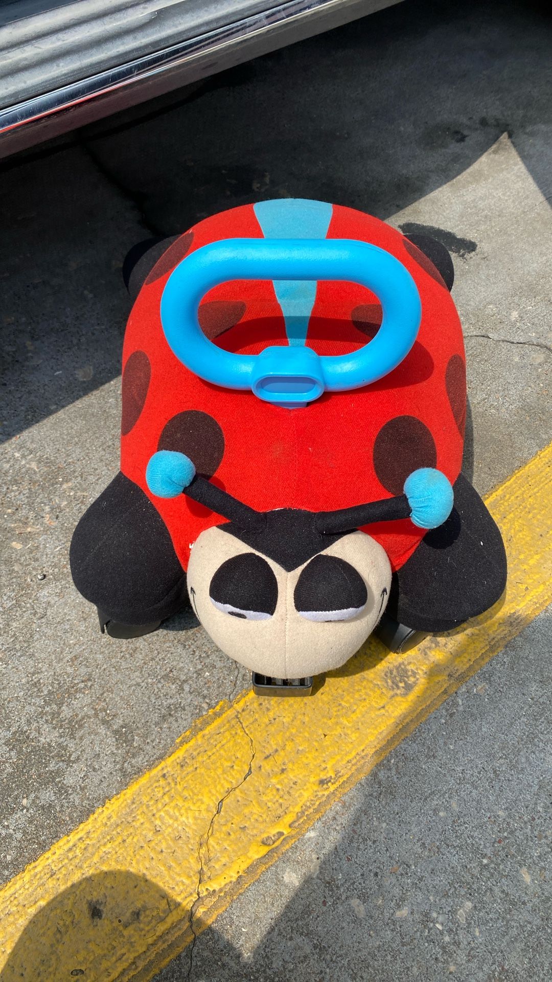 Ladybug Pillow Racer
