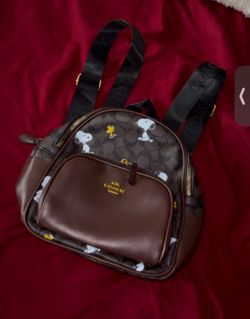 Coach snoopy bag