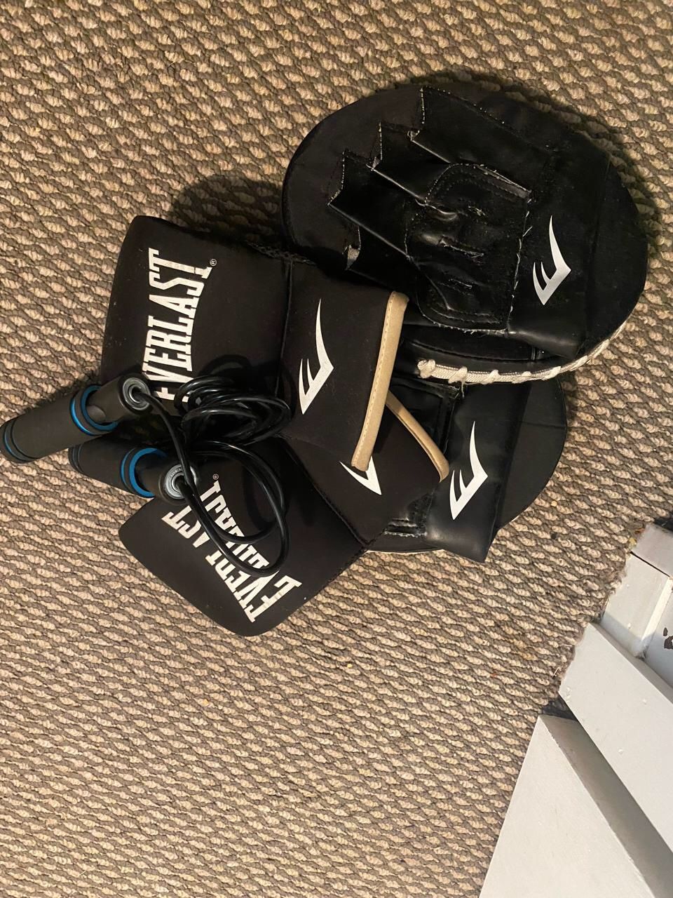 Everlast MMA Gloves And Mitts 
