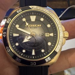 coach watch 
