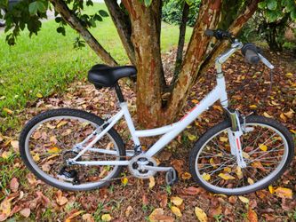 Nice clean nishiki 26 inch wheel 21 speed bike