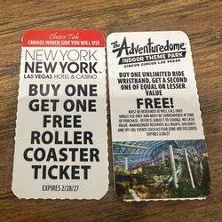 BOGO Roller coaster NEW YORK CASINO
