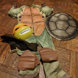 Ninja Turtle Costume (Missing Mask)