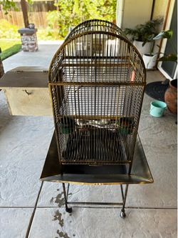 Cacatúa ninfa cage
